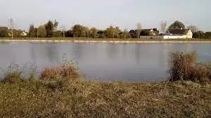 Etang des Tardivières