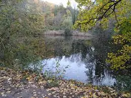 Etang du Grand Clos