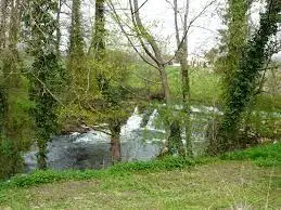 Ruisseau de la Noue