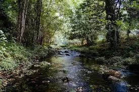 Ruisseau de la Fontaine Moreau