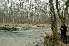 Ruisseau des Eroniers