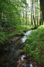 Ruisseau des Emerlots