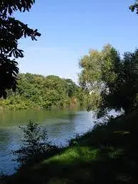 Ruisseau de Braux