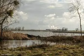 Etang de la Lieue