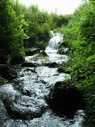 Ruisseau de l'Etang Neuf