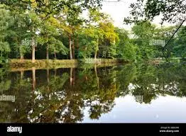 Etang de la Grognette