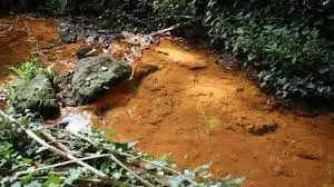 Ruisseau des Usages du Jardon