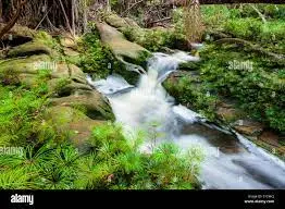 Ruisseau de la Vallée