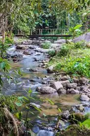 Ruisseau de Fontaine Lor