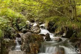 Ruisseau de la Fontaine des Prés