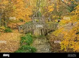 Ruisseau des Fontenelles