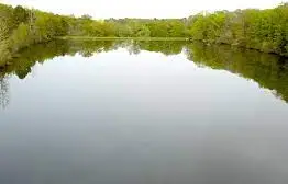 Etang de la Chalandrie