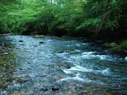 Ru de l'Etang de Bêche