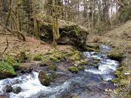 Ruisseau des Cents Arpents