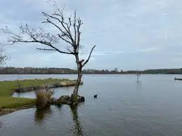 Etang de Morfontaine