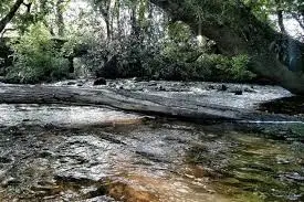 Ruisseau des Mardelles