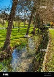 Ruisseau de la Grande Fosse