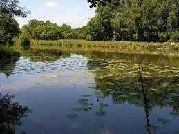 Ruisseau de Sainte Pétronille