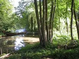 Ruisseau de la Fontaine de l'Aulnaie