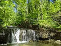 Ruisseau du Pont Gris