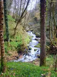 Vielle Rivière de Blaise