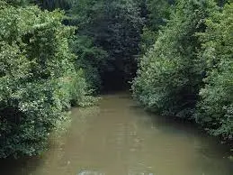 Ruisseau des Noues