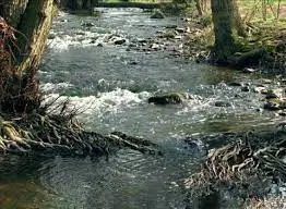 Ruisseau de Chevillon