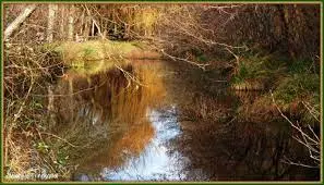 Ruisseau de la Bosse