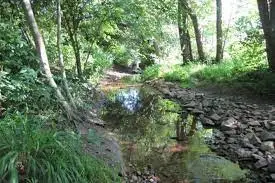 Ruisseau du Véchet