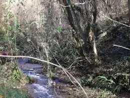 Ruisseau de l'Abbaye