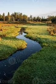 Ruisseau du Pré le Prêtre