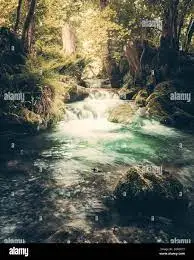 Ruisseau des Vervelles