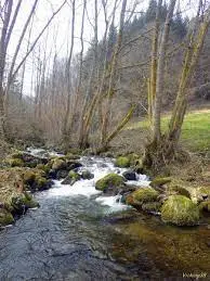 Ruisseau de Bonnevaux