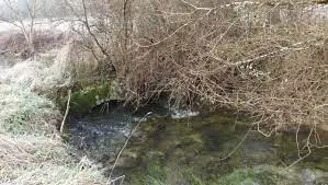 Ruisseau de Poinson