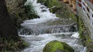 Ruisseau de Lavau