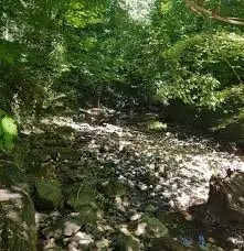 Ruisseau de la Manche