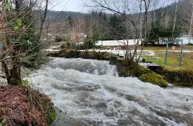 Ruisseau du Pré du Chêne