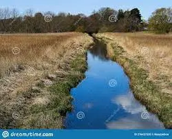 Ruisseau de Valfleur