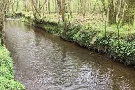 Ruisseau de Poinsenot