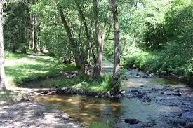Ruisseau de Presle