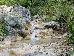 Ruisseau des Prés Rougets