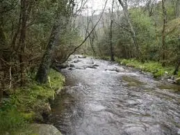 Ruisseau de Mauvaignant