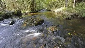 Ruisseau de la Peute Roye