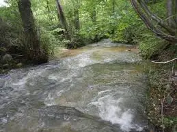 Ruisseau du Renoy