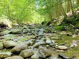 Ruisseau de la Chapelle