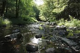 Ruisseau du Rôlard