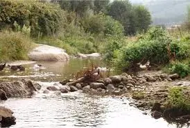 Ruisseau de la Côte d'Envie