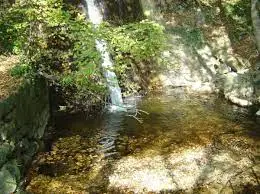Ruisseau des Aulnaies