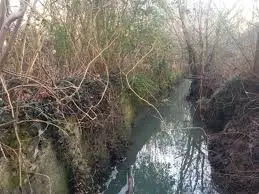Ruisseau de Joncourt