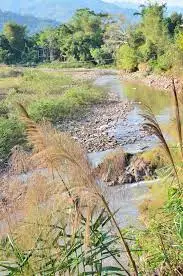 Ruisseau de la Prairie